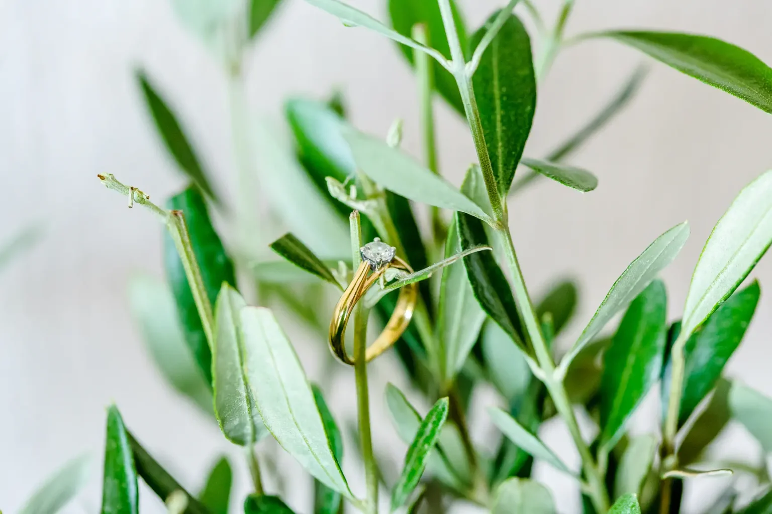 Φωτογραφηση γαμου κτημα The Residence 0005 - κτήμα The Residence, Φωτογραφία Γαμου στο κτήμα